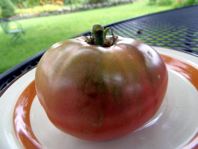 Black/Purple Tomatoes